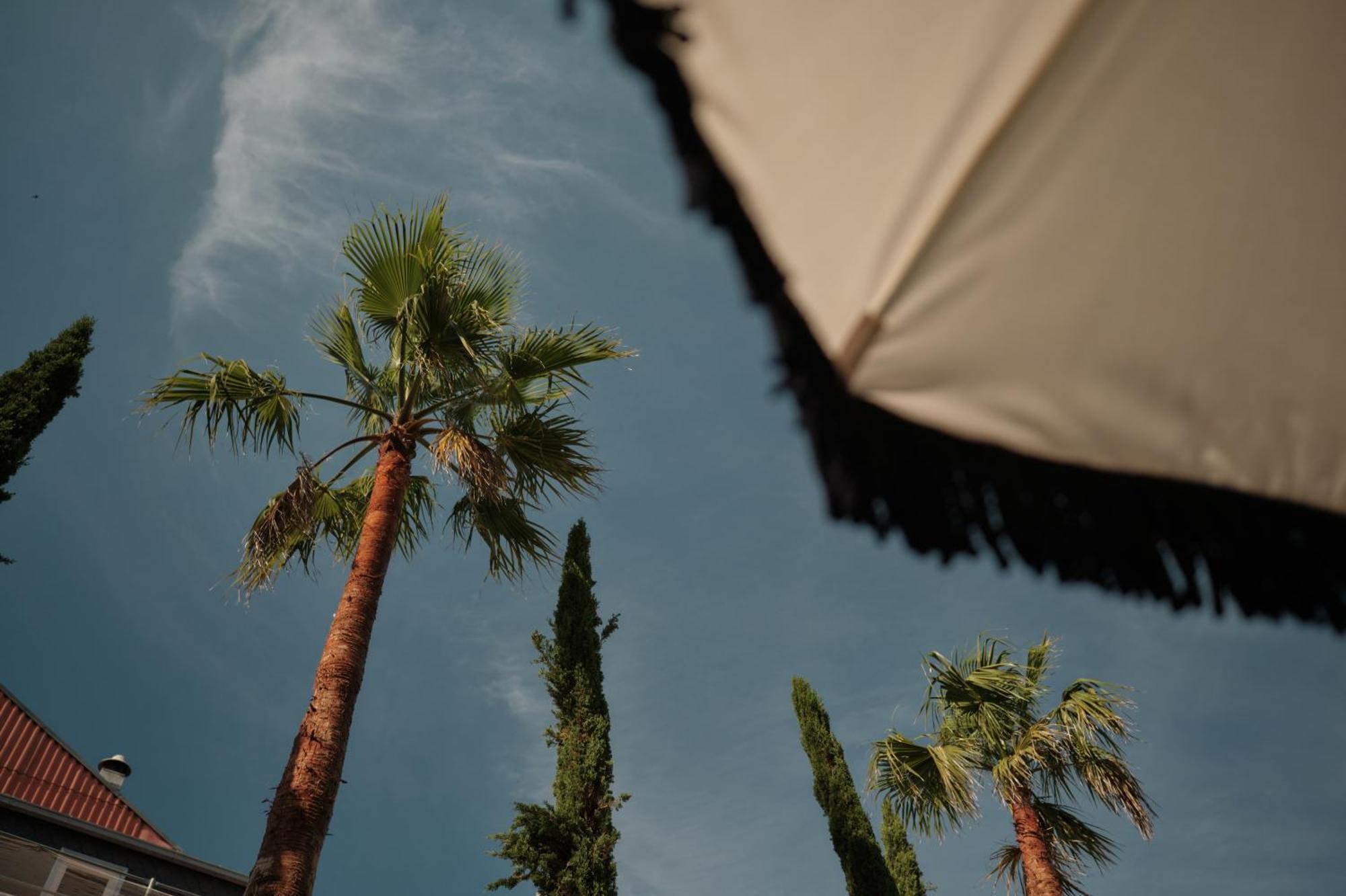 Ga Palace Hotel & Spa, A Xixth-Century Villa Porto Eksteriør bilde Palm trees in the city